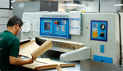 Parque gráfico - Designer trabalhando