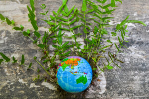 Soluções de impressão sustentável: Priorizando o meio ambiente no trade marketing